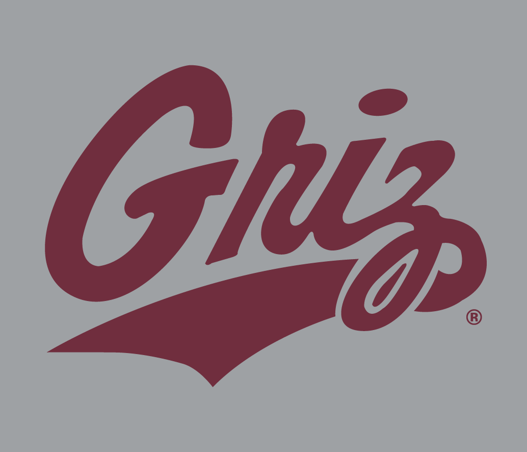 Montana Grizzlies 1996-Pres Alternate Logo v5 diy iron on heat transfer
